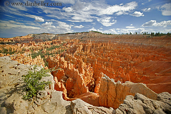 bryce-canyon-scenics-01.jpg