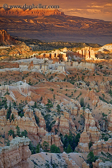 bryce-canyon-scenics-05.jpg