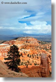 images/UnitedStates/Utah/BryceCanyon/Towers/towers-n-trees-11.jpg
