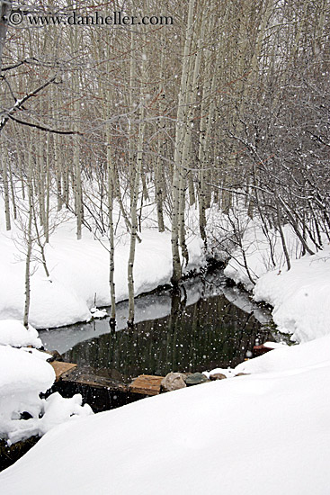 snowy-river-n-trees.jpg