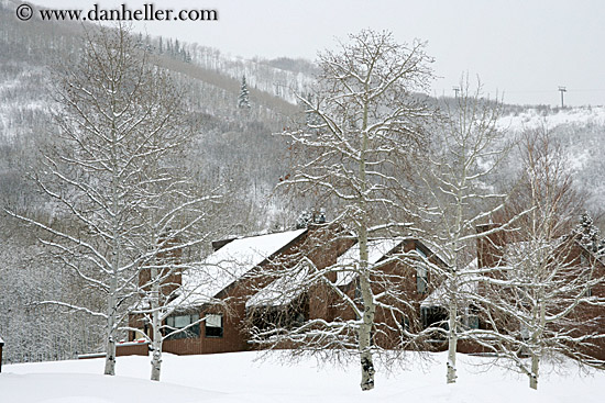 condos-trees-n-snow-1.jpg