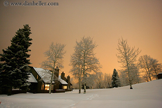 condos-trees-nite-sky-1.jpg