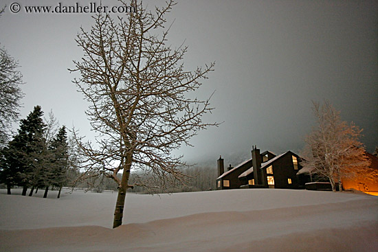 condos-trees-nite-sky-2.jpg