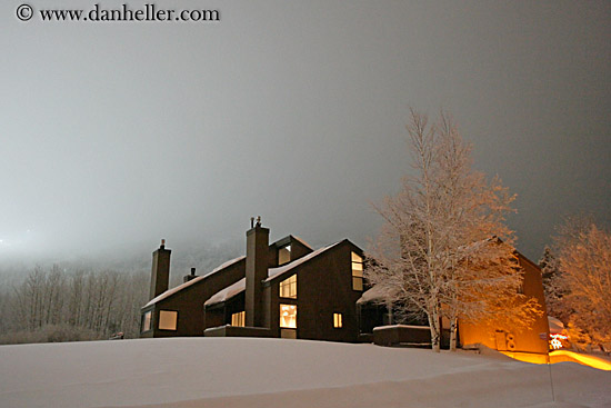 condos-trees-nite-sky-3.jpg