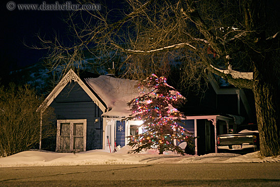 xmas-tree-house.jpg