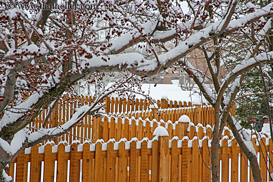 snowy-fence-2.jpg