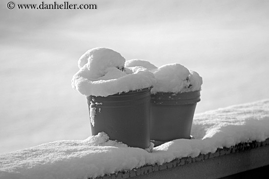 snowy-plant-pots.jpg