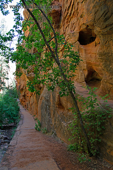 path-rock-wall-trees-04.jpg