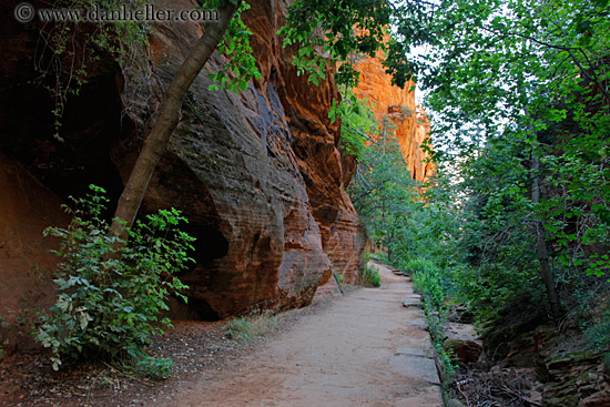 path-rock-wall-trees-06.jpg