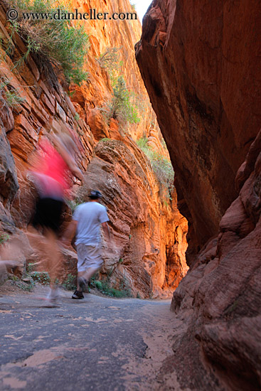 path-rock-wall-trees-n-hikers-03.jpg