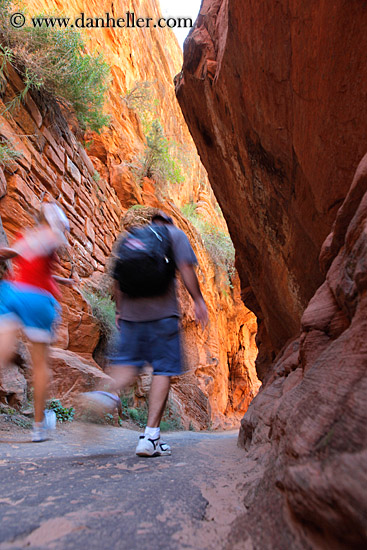 path-rock-wall-trees-n-hikers-04.jpg