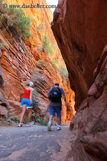 path-rock-wall-trees-n-hikers-05.jpg