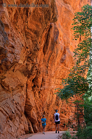 path-rock-wall-trees-n-hikers-14.jpg