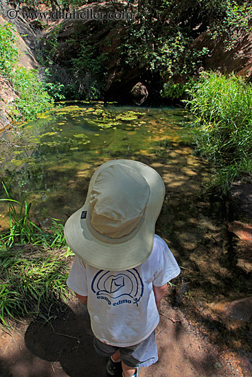 jack-in-hat-at-emerald-pool.jpg