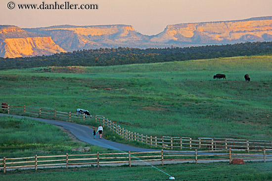 buffalo-n-cliffs-w-ppl-walking-1.jpg