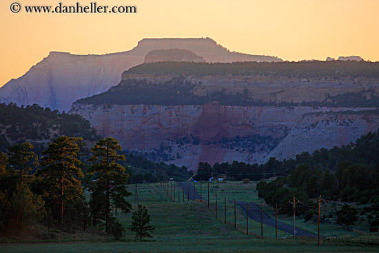 mesa-road-n-trees-at-sunset-2.jpg