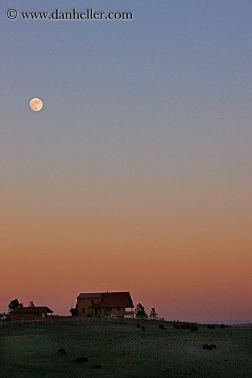 moon-n-house-2.jpg