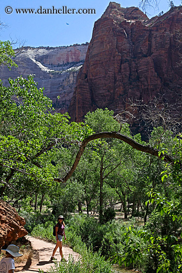 jill-hiking-among-trees-1.jpg