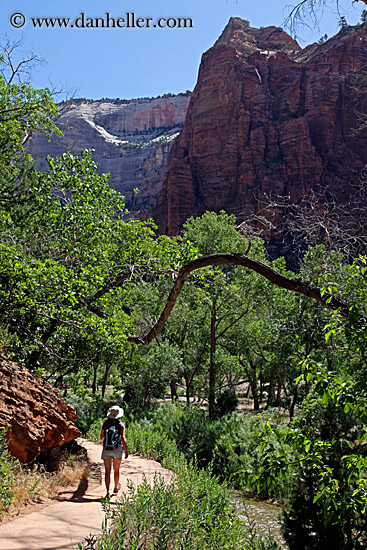 jill-hiking-among-trees-3.jpg