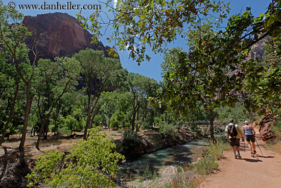 hiking-by-trees-n-rvr.jpg