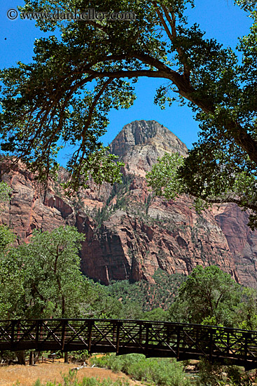 trees-n-mtns-n-bridge.jpg