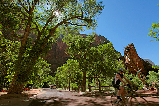 trees-n-road-n-biker.jpg