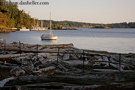 logs-n-boat-in-bay.jpg