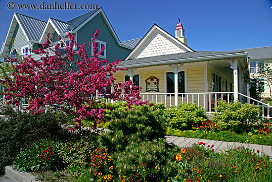 pink-tree-n-yellow-house.jpg