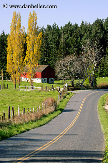 red-barn-yellow-aspens-n-road.jpg