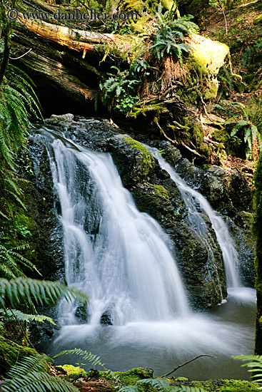 waterfalls-in-woods-02.jpg