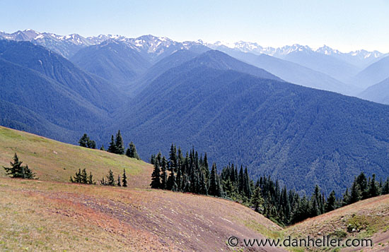 port-angeles-mtns-1.jpg