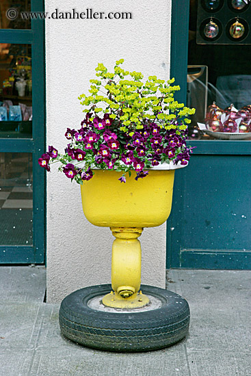 flower-pot-on-tire-1.jpg