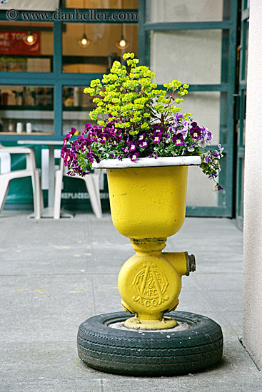 flower-pot-on-tire-2.jpg