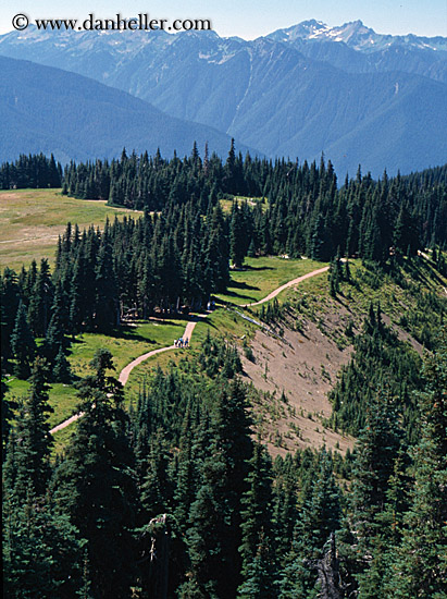 mtns-trees-n-path.jpg