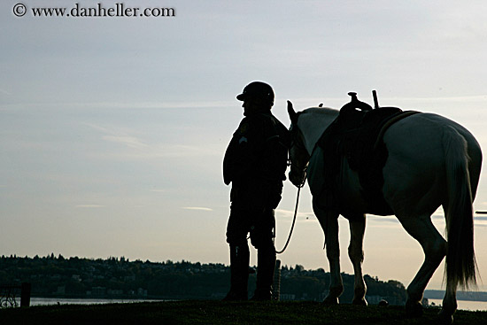 police-horse-silhouette-2.jpg