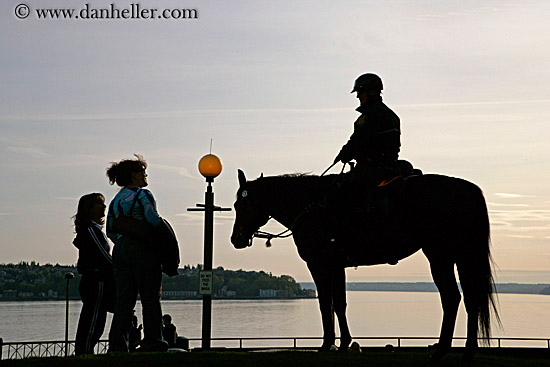 police-horse-silhouette-3.jpg