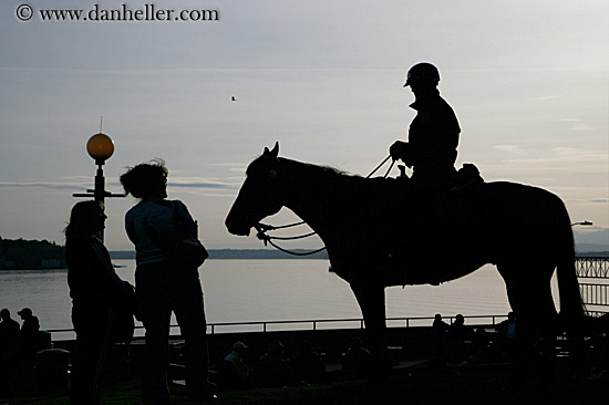 police-horse-silhouette-4.jpg