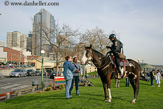 policeman-on-horse1.jpg