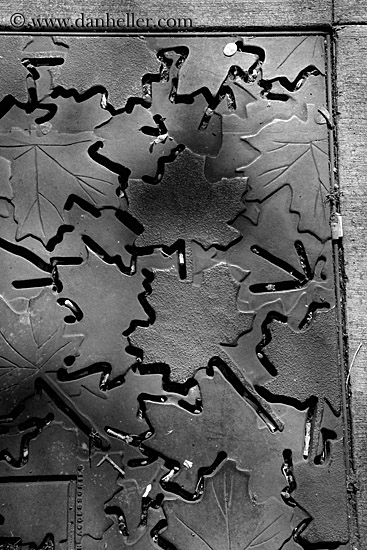 leaf-grates-bw-01.jpg