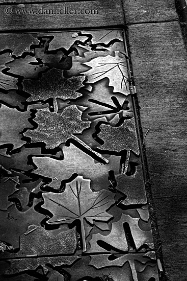 leaf-grates-bw-02.jpg