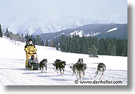 images/UnitedStates/Wyoming/JacksonHole/Mush/dogs-11.jpg