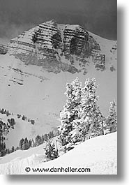 images/UnitedStates/Wyoming/JacksonHole/Scenics/scenic-01.jpg