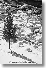 images/UnitedStates/Wyoming/Yellowstone/Snowy/snowy-05.jpg