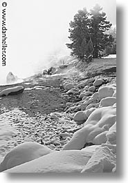 images/UnitedStates/Wyoming/Yellowstone/Snowy/snowy-10.jpg