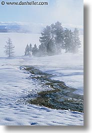 images/UnitedStates/Wyoming/Yellowstone/Snowy/snowy-11.jpg