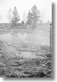 images/UnitedStates/Wyoming/Yellowstone/Snowy/snowy-13.jpg