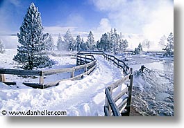 images/UnitedStates/Wyoming/Yellowstone/Snowy/snowy-28.jpg