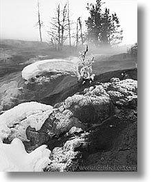images/UnitedStates/Wyoming/Yellowstone/Snowy/snowy-31.jpg