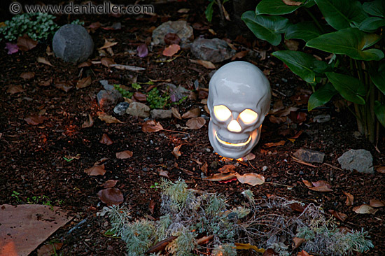 lit-skull-garden.jpg