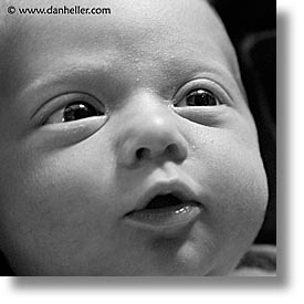 images/personal/Jack/BabyFace/BW/baby-face-bw.jpg